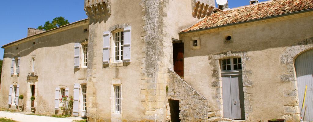 Chateau De La Combe Puyrenier Luaran gambar